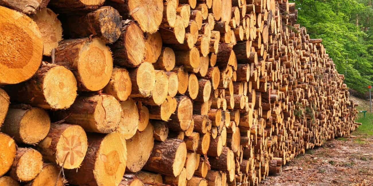 Die EU-Holzverordnung, Zertifizierungen und Siegel – Was gibt es zu beachten