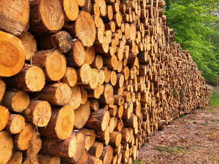 The EU Timber Regulation, Certifications and Seals - What is there to consider?