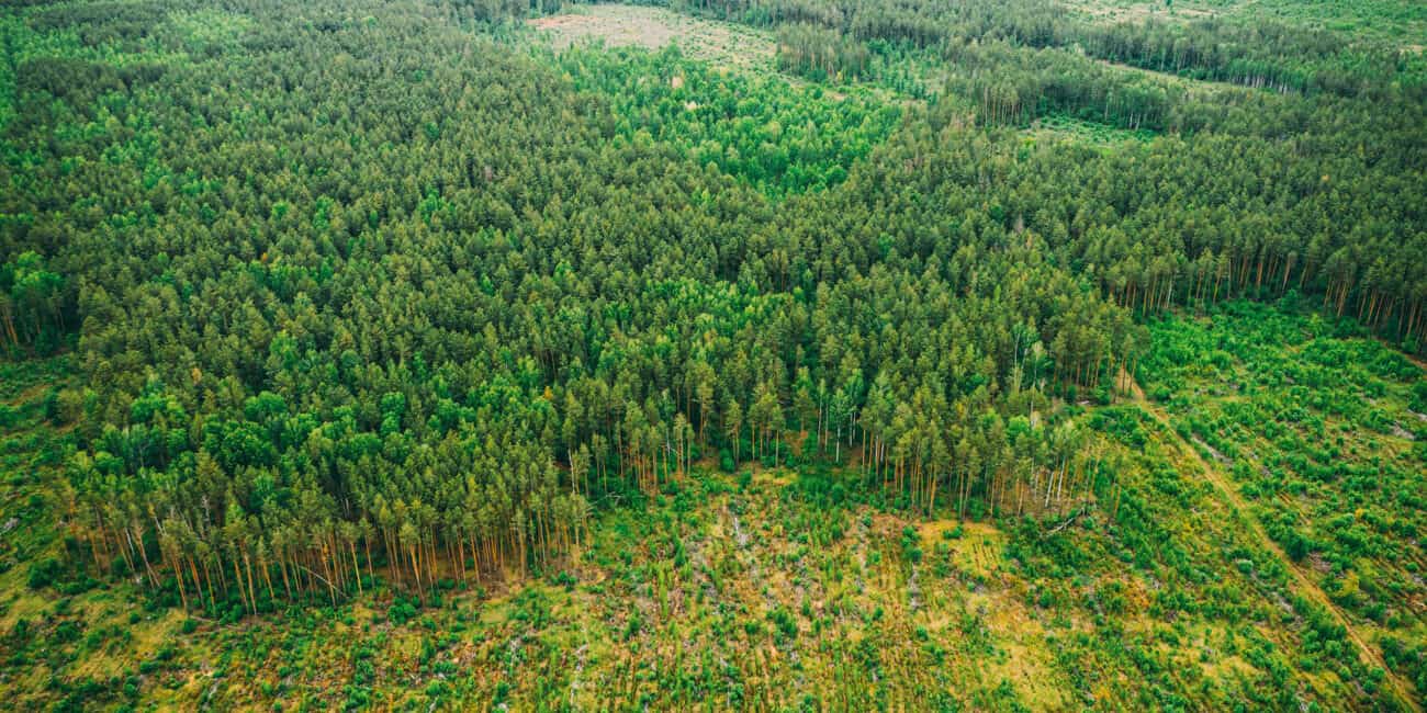 Gabelgamaschen Für Harley Dyna & XL 883 - 39mm Gummi-Schutz Vor Staub & Schmutz